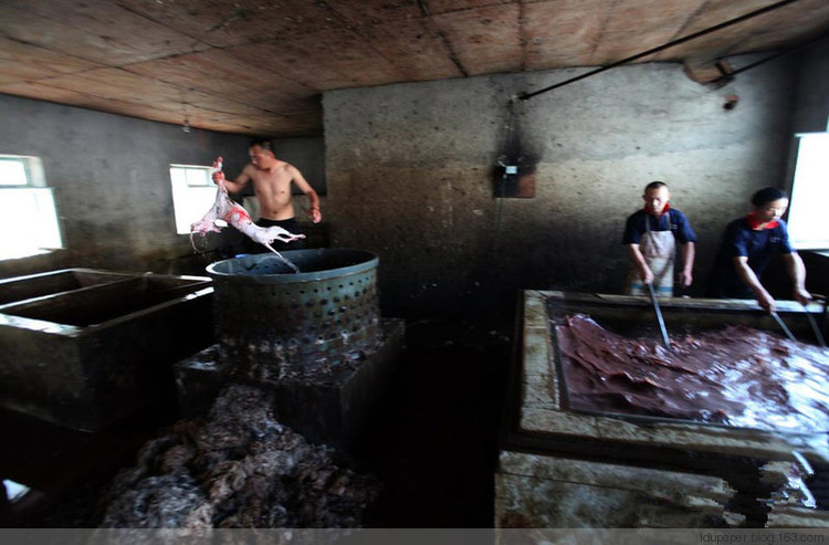 在農(nóng)村偷狗被抓到就是這下場！