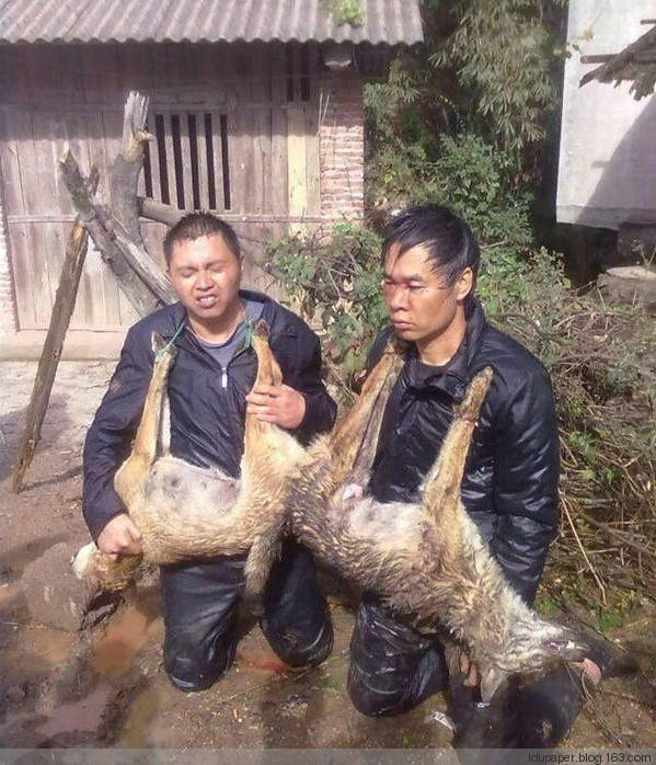 在農(nóng)村偷狗被抓到就是這下場(chǎng)！