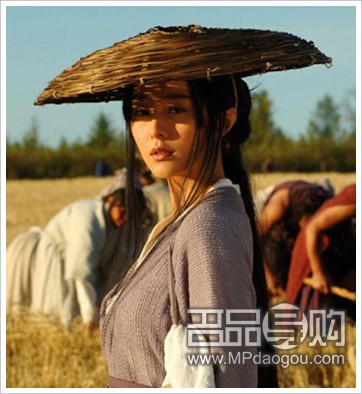 盤(pán)點(diǎn)被范冰冰搶走的電影角色 一周時(shí)間踢走張靜初