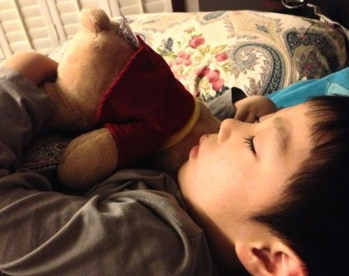 華少兒子抱毛熊可愛酣睡。