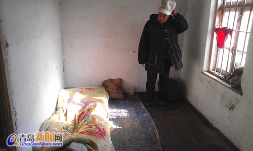 六旬老人養(yǎng)育130只流浪貓狗 咸菜方便面充饑 六旬老人養(yǎng)育130只流浪貓狗 咸菜方便面充饑