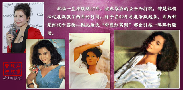 昔日艷星爭相復出