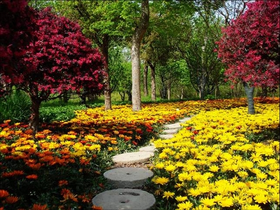 世園會建世外茶園 世園會建世外茶園