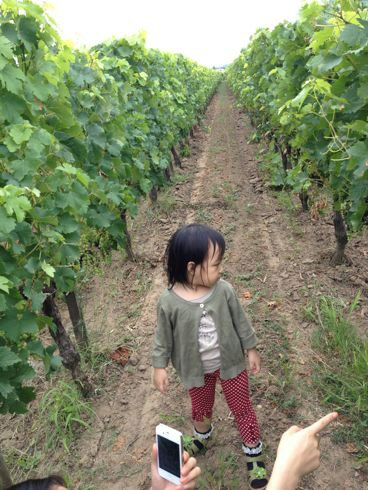 趙薇依偎老公黃有龍?zhí)鹈壅掌毓?小四月撒嬌賣(mài)萌