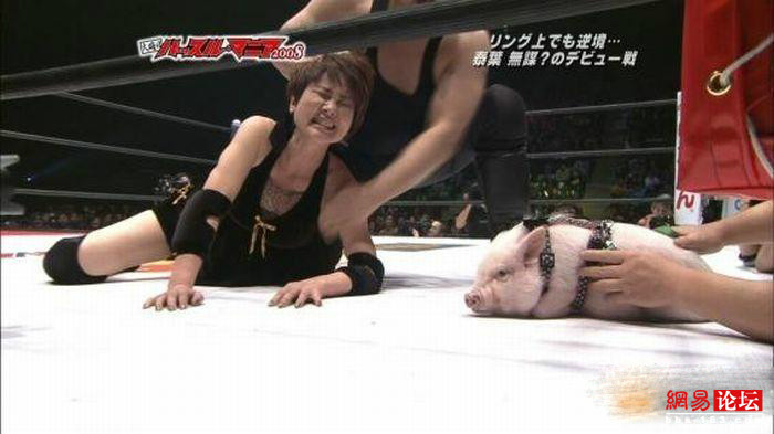 盤(pán)點(diǎn)惡搞高手的超強(qiáng)創(chuàng)意