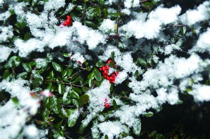 逛完青島留宿黃島 逛完青島留宿黃島