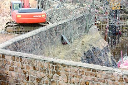 人造懸崖困住“戀家”小狗 人造懸崖困住“戀家”小狗