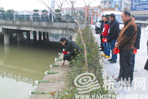 在杜光華落水處，人們擺上了白菊花。