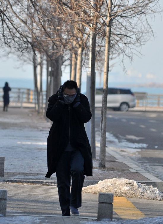 前海一線海水結冰 極寒天難擋冬游健將