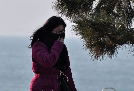 前海一線海水結(jié)冰 極寒天難擋冬游健將