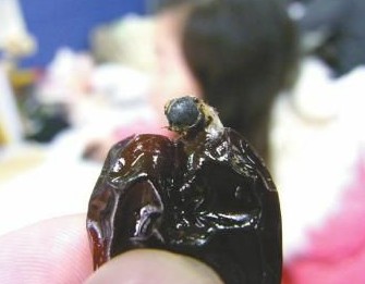 阿膠棗吃出半只像蒼蠅昆蟲(chóng) 廠家稱(chēng)是蜜蜂