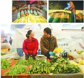 大學畢業(yè)電信工作 小夫妻不當經理愛賣菜