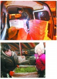 大學畢業(yè)電信工作 小夫妻不當經理愛賣菜