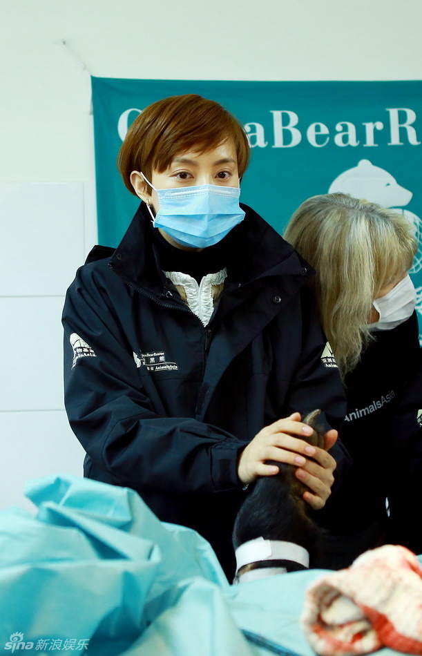 孫儷任“愛(ài)心大使”探訪黑熊 “甄嬛”握熊掌痛心落淚