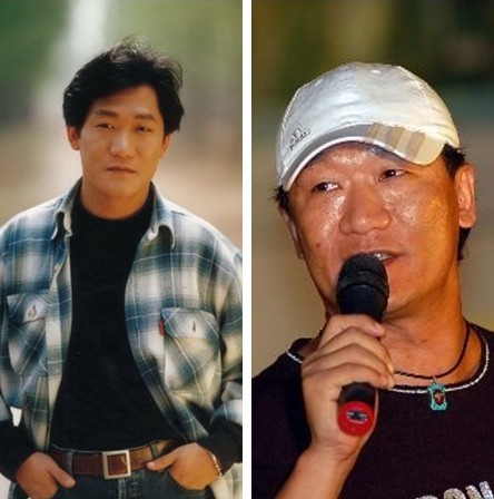 楊鈺瑩等90年代內地紅歌星今昔對比