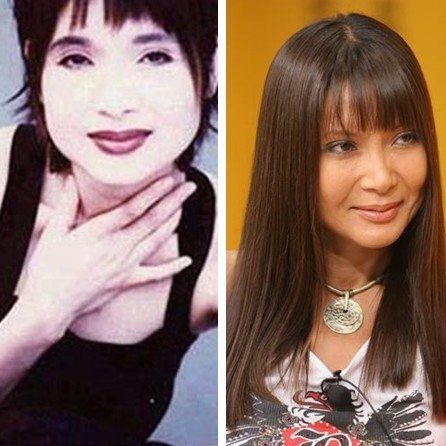 楊鈺瑩等90年代內(nèi)地紅歌星今昔對(duì)比