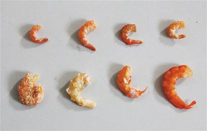 金鉤海米每斤最貴600元 價格相差10倍 金鉤海米每斤最貴600元 價格相差10倍