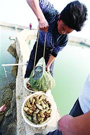 市場賣海參兩成喂消炎藥 長期食用易導致神經炎