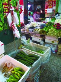 黃瓜價(jià)格直逼豬肉12元/斤 市民驚訝菜販淡定 黃瓜價(jià)格直逼豬肉12元/斤 市民驚訝菜販淡定