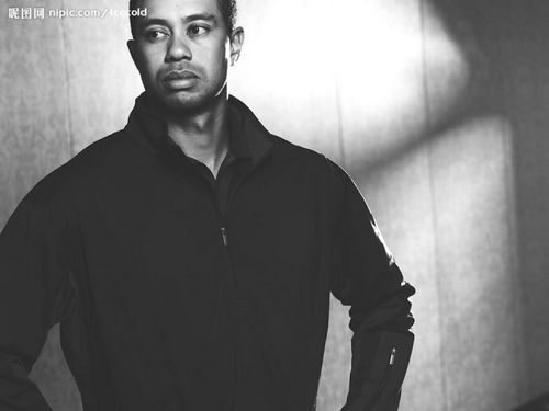 818被曝“性丑聞”的明星們 一失足成千苦恨啊！(