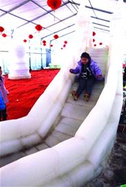 蘿卜會(huì)初九拉開帷幕