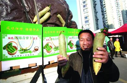 蘿卜會(huì)初九拉開帷幕