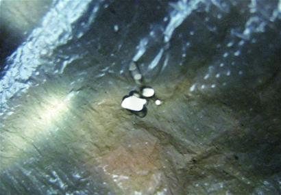 激光筆5米外點鞭炮1秒點火柴 信息城熱賣