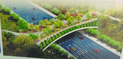 環(huán)膠州灣鋪設(shè)綠色慢行道