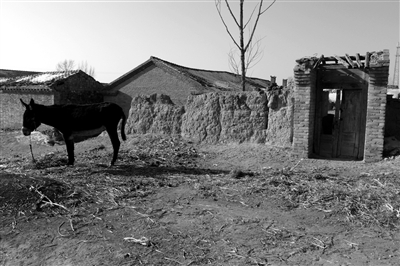 1月13日，位于大同縣北部山區(qū)的巨樂鄉(xiāng)東閣老山村，這里75%的人口收入在貧困線以下。