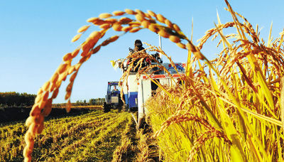 白領(lǐng)未來有望成農(nóng)場主 白領(lǐng)未來有望成農(nóng)場主