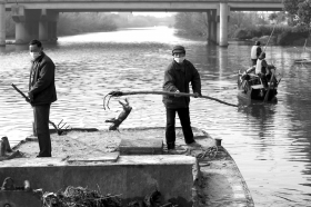 3月16日早上，浙江省嘉興市新豐鎮(zhèn)，漁民們開始一天的撈豬作業(yè)。每年3月是死豬比較多的季節(jié)。組圖/記者劉有志