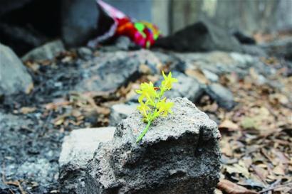 男嬰頭貼編號(hào)24被棄杭州路立交橋下去世 沒(méi)機(jī)會(huì)看春天