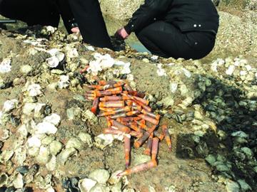 魯迅公園水灣驚現(xiàn)50多顆子彈 魯迅公園水灣驚現(xiàn)50多顆子彈