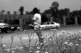 6月8日，岳麓區(qū)杜鵑路附近，黃俊雅稱在這附近練車時(shí)，遭遇教練強(qiáng)吻。圖/記者辜鵬博