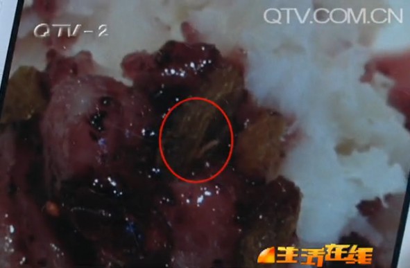 綠茵閣藍莓山藥蛆蟲爬得歡 被1歲寶寶吃下