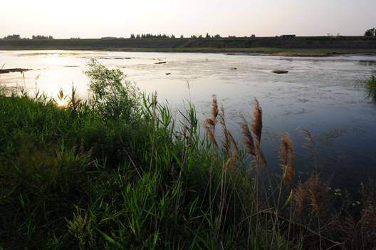 E:\軟文\ss512\14.jpg14