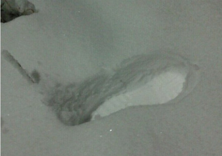 北京發(fā)罕見暴雪藍色預警 40小時雨雪降水超歷史