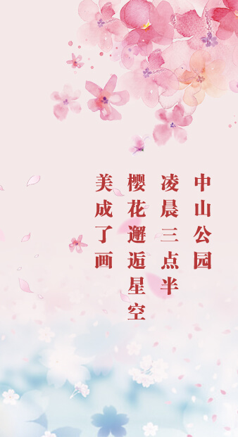 上合組織青島峰會(huì)